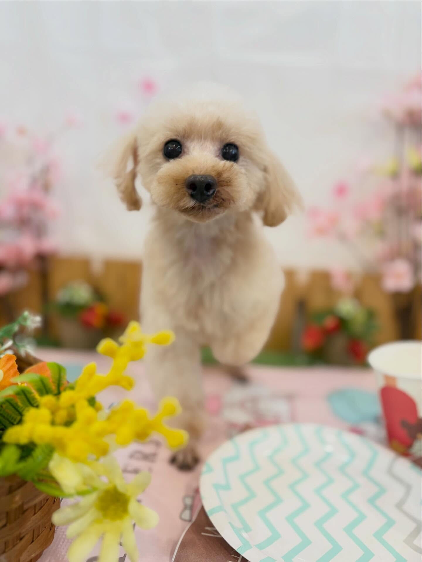 おはようございます☺️