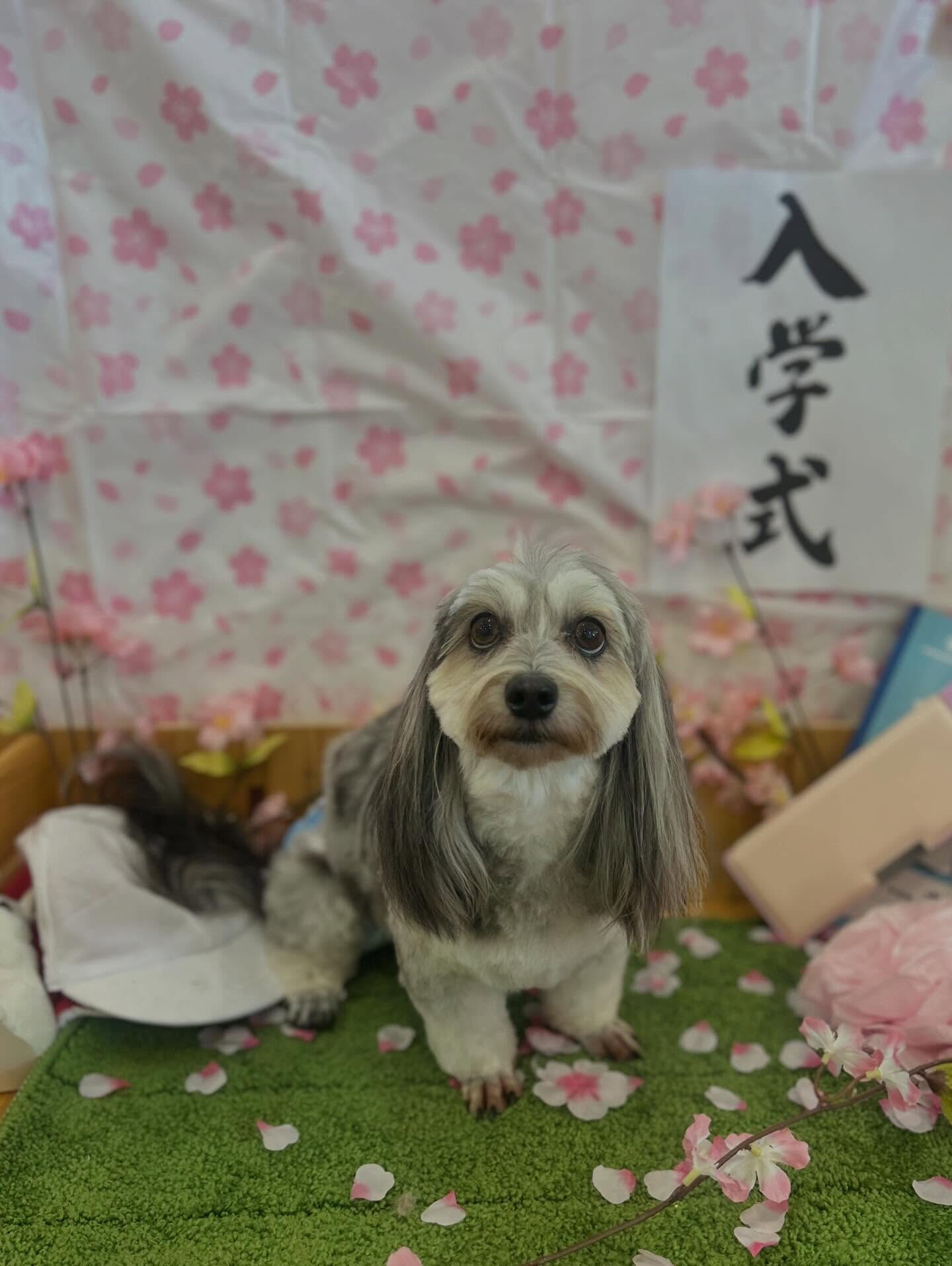 いつもありがとうございます🙇🏻‍♀️