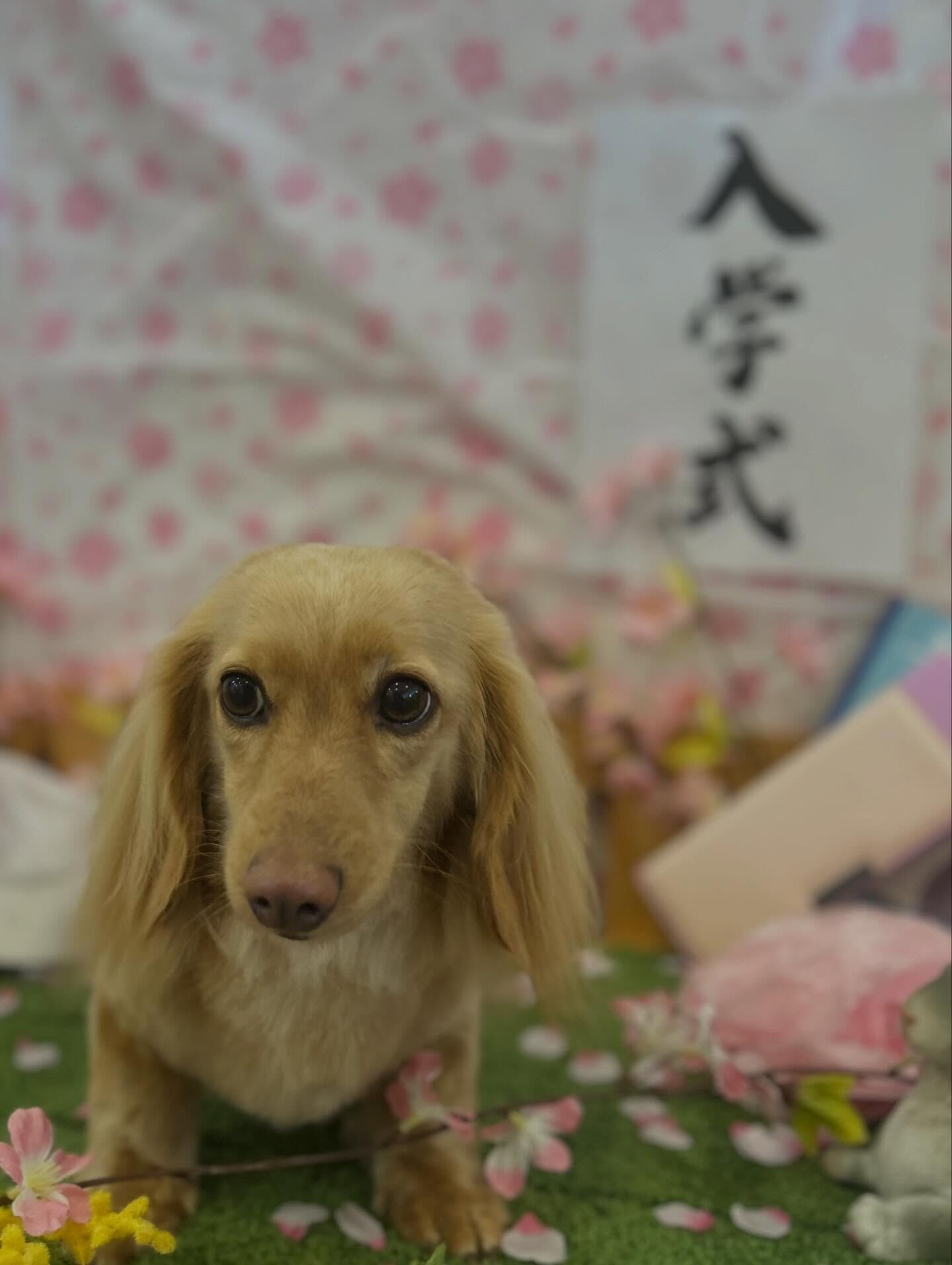 いつもありがとうございます🙇🏻‍♀️