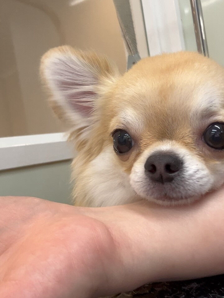 いつもありがとうございます🙇🏻‍♀️