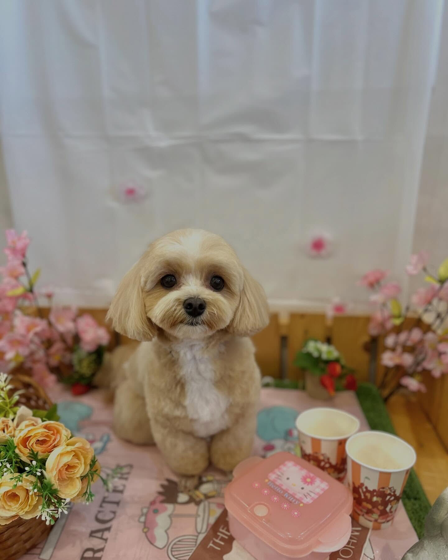 いつもありがとうございます⸜🌷︎⸝‍