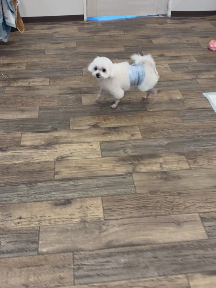 おはようございます☀