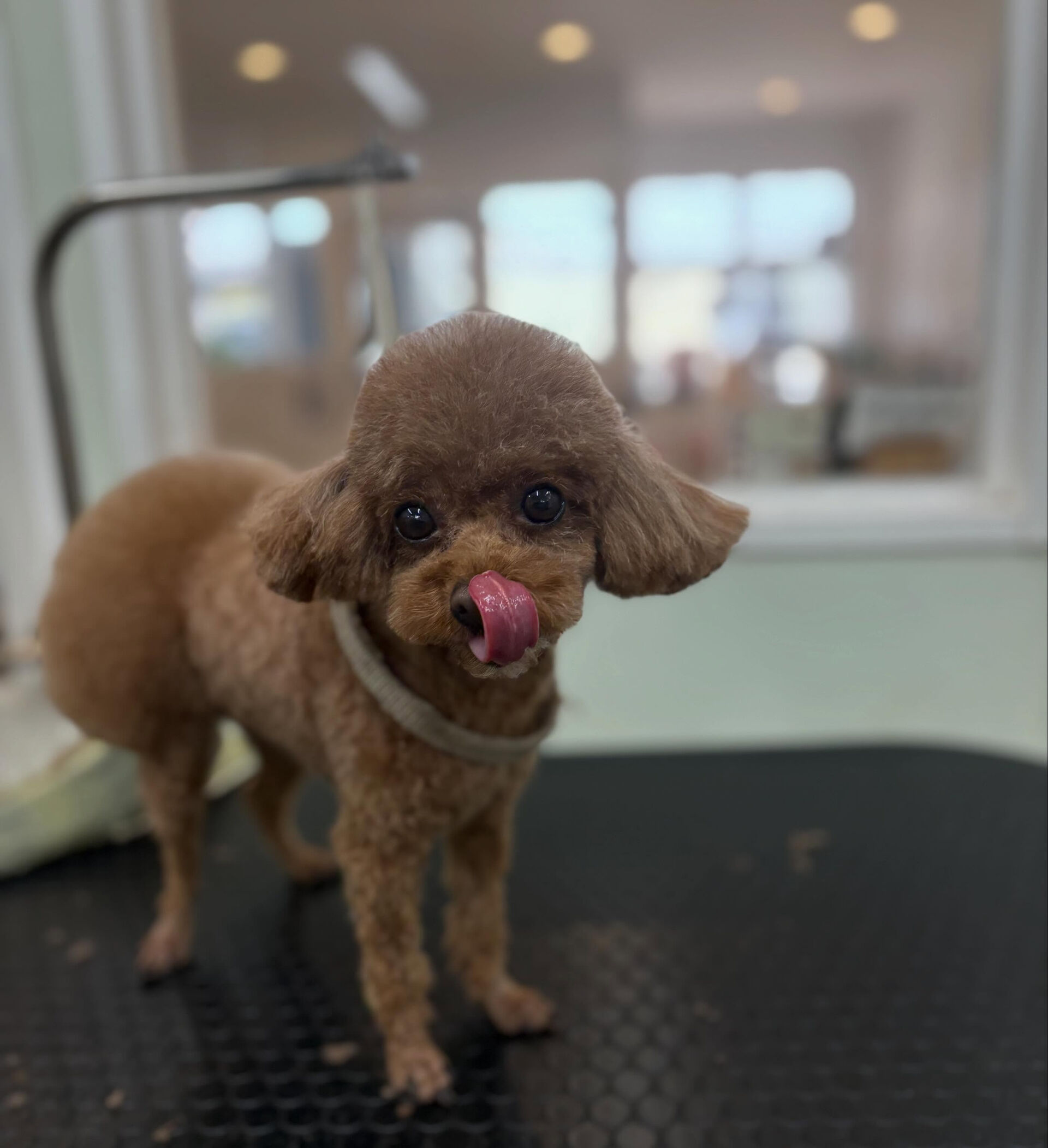 5月です✨早い‼️
