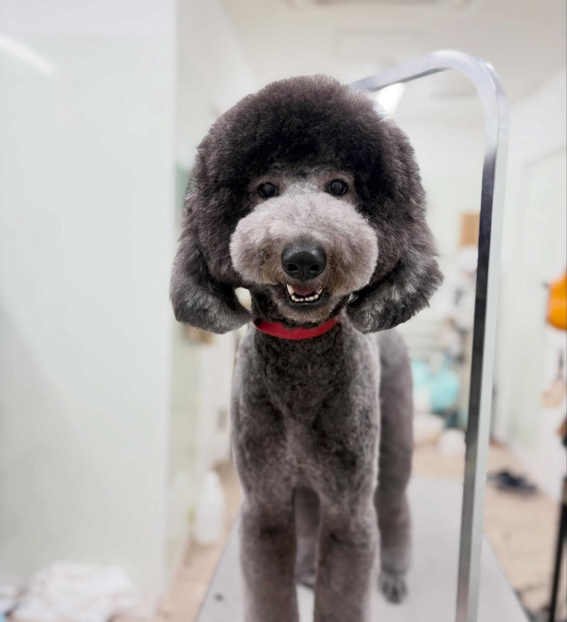 5月です✨早い‼️