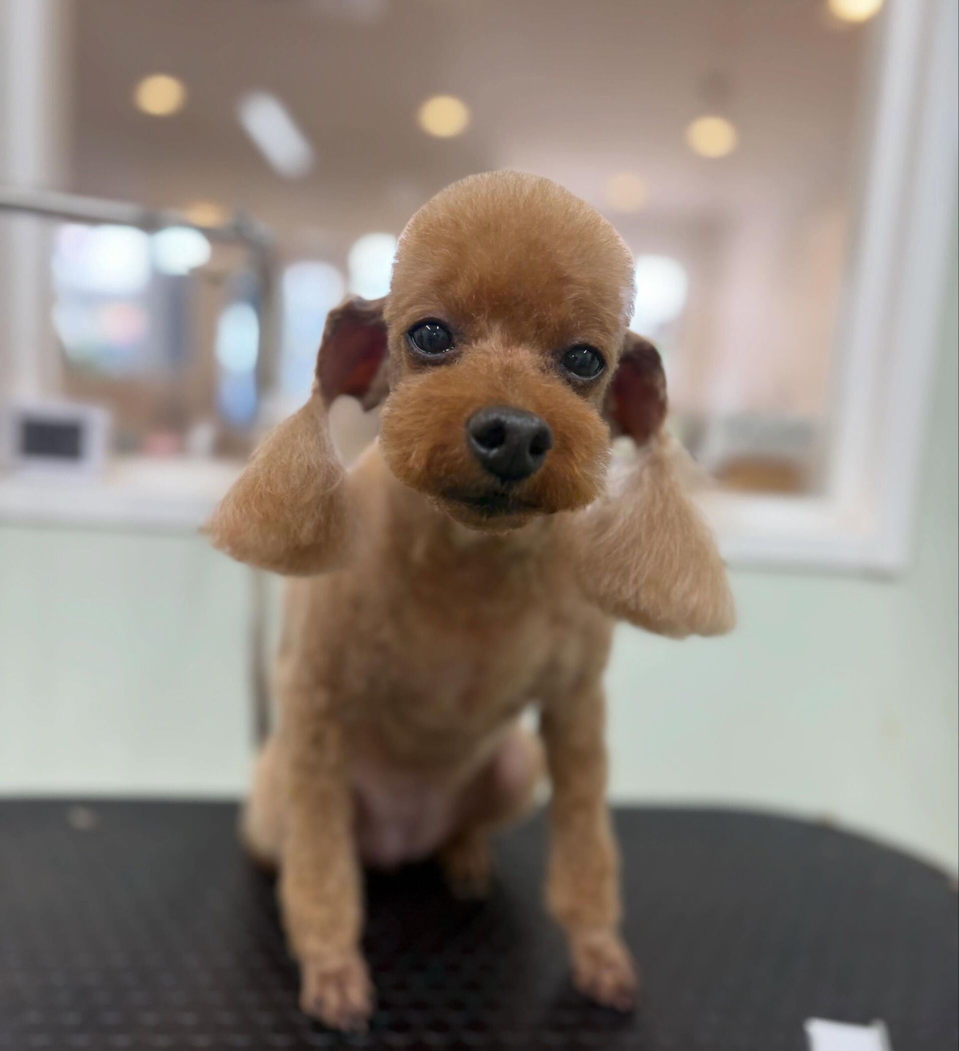 5月です✨早い‼️