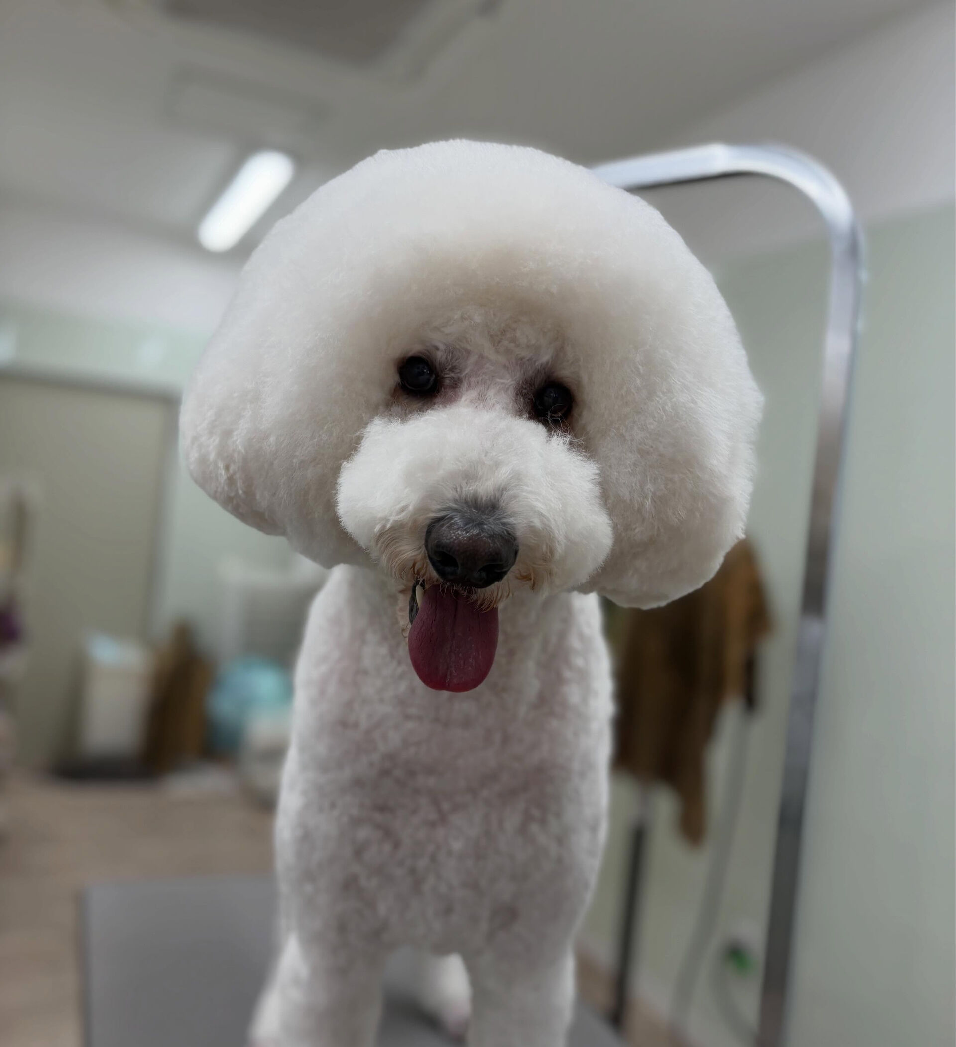 5月です✨早い‼️