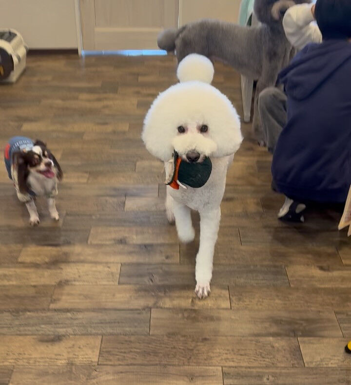 5月です✨早い‼️