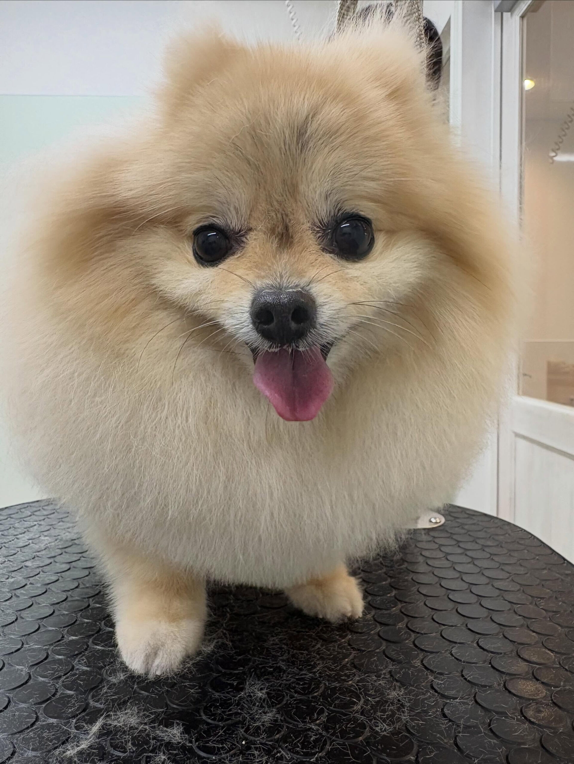 G.Wみなさんどこにおでかけですか？