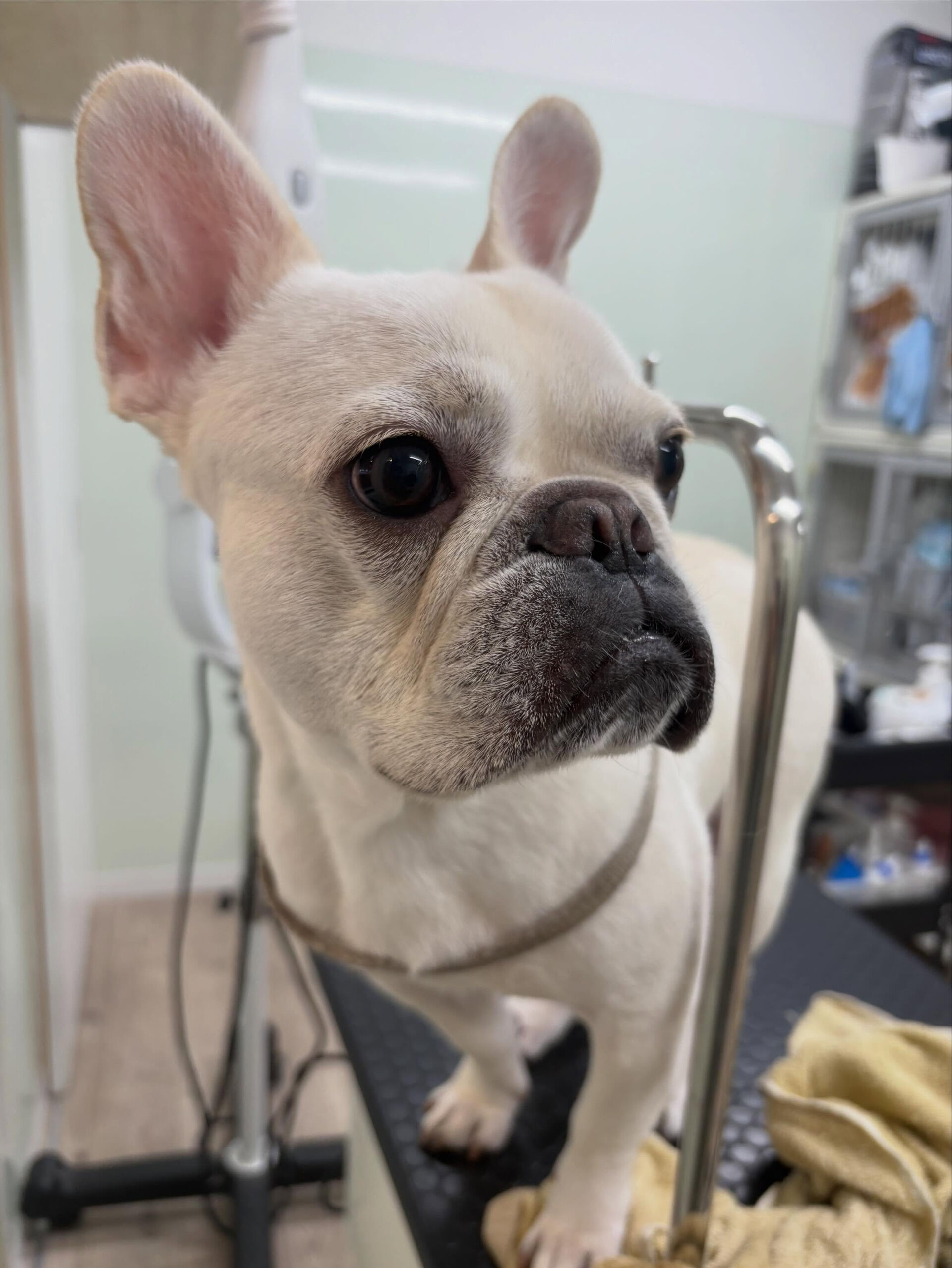 G.Wみなさんどこにおでかけですか？