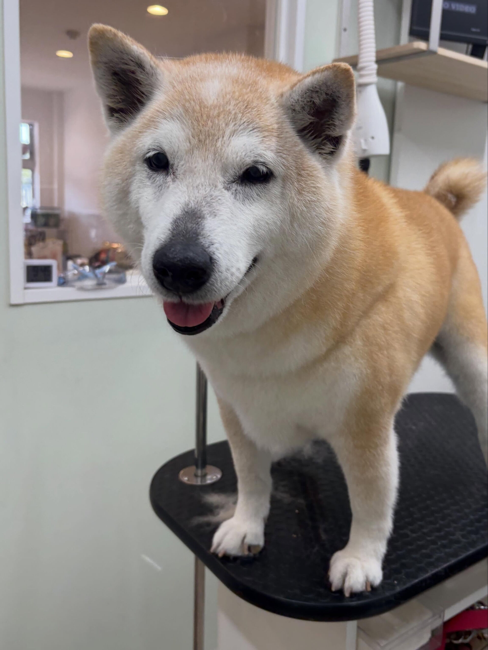 G.Wみなさんどこにおでかけですか？