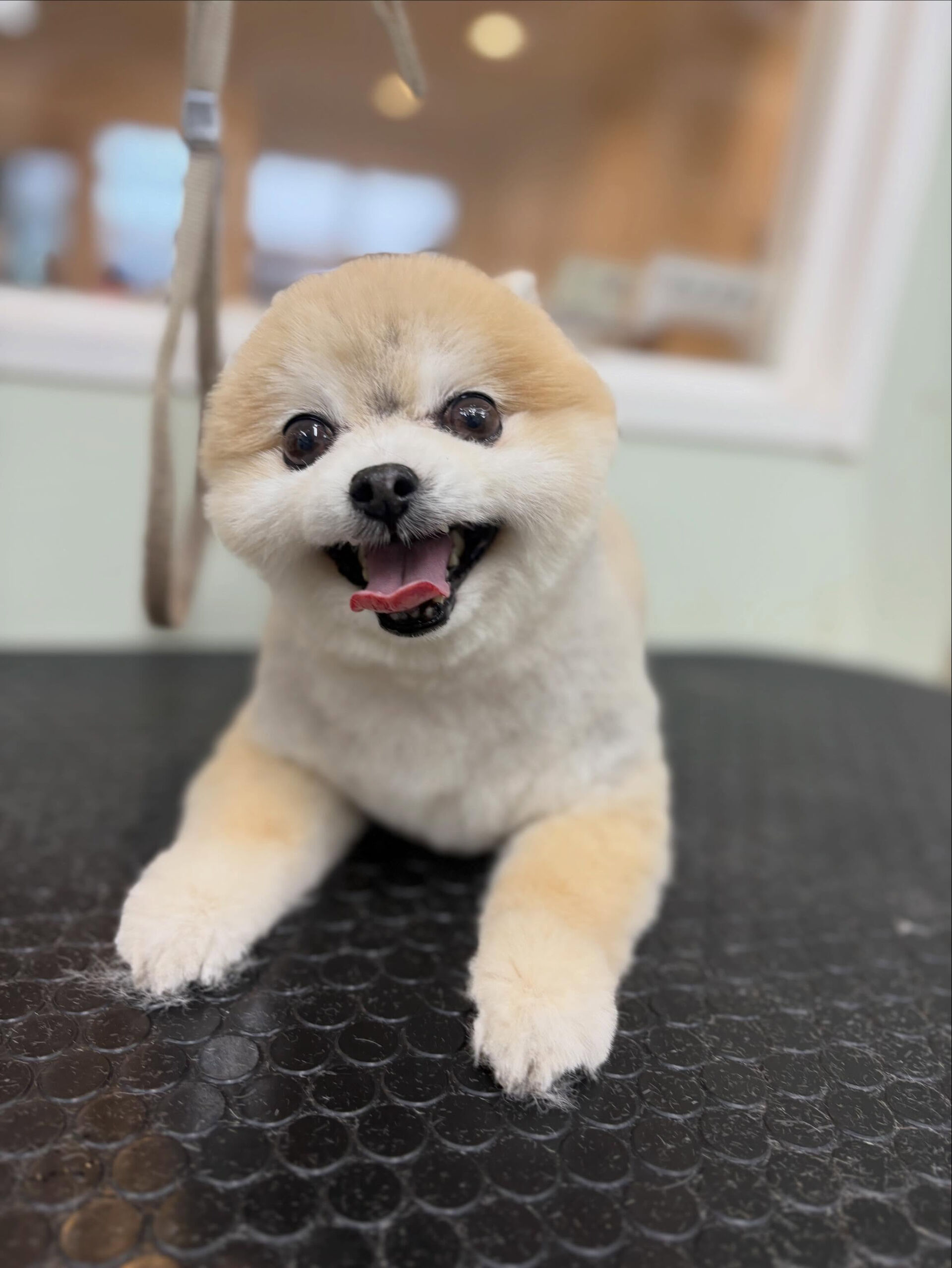 G.Wみなさんどこにおでかけですか？