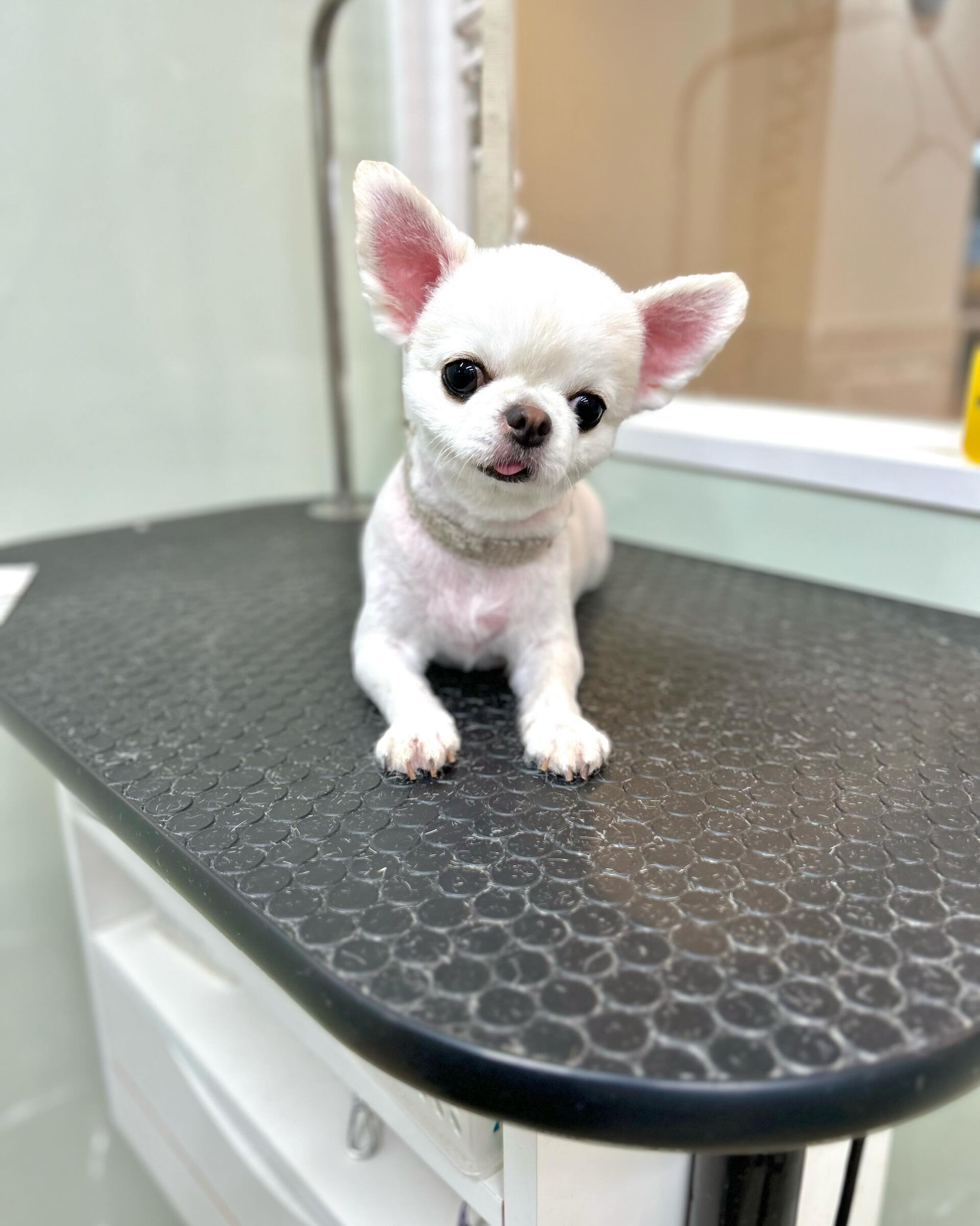 いつもありがとうございます⸜🌷︎⸝‍