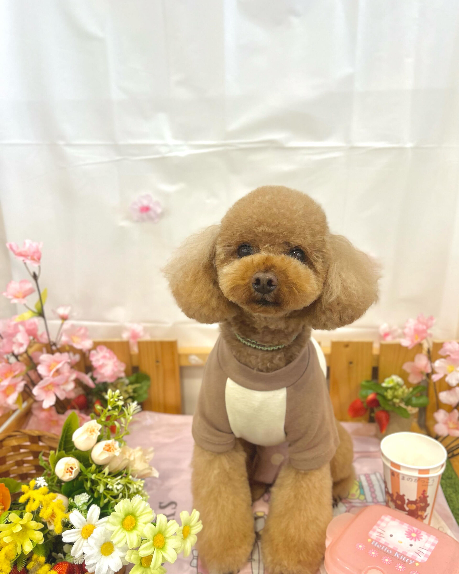 いつもありがとうございます⸜🌷︎⸝‍