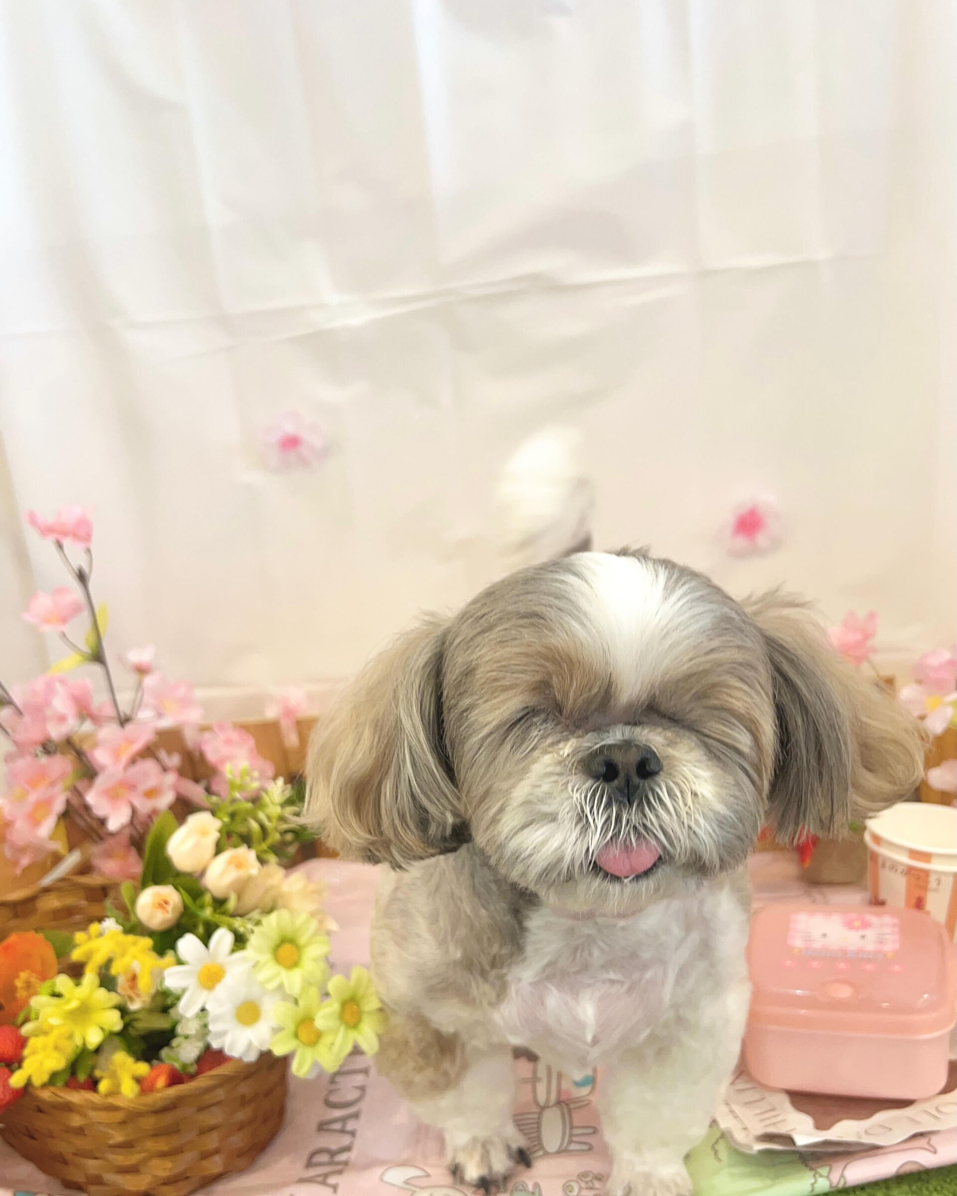 いつもありがとうございます⸜🌷︎⸝‍