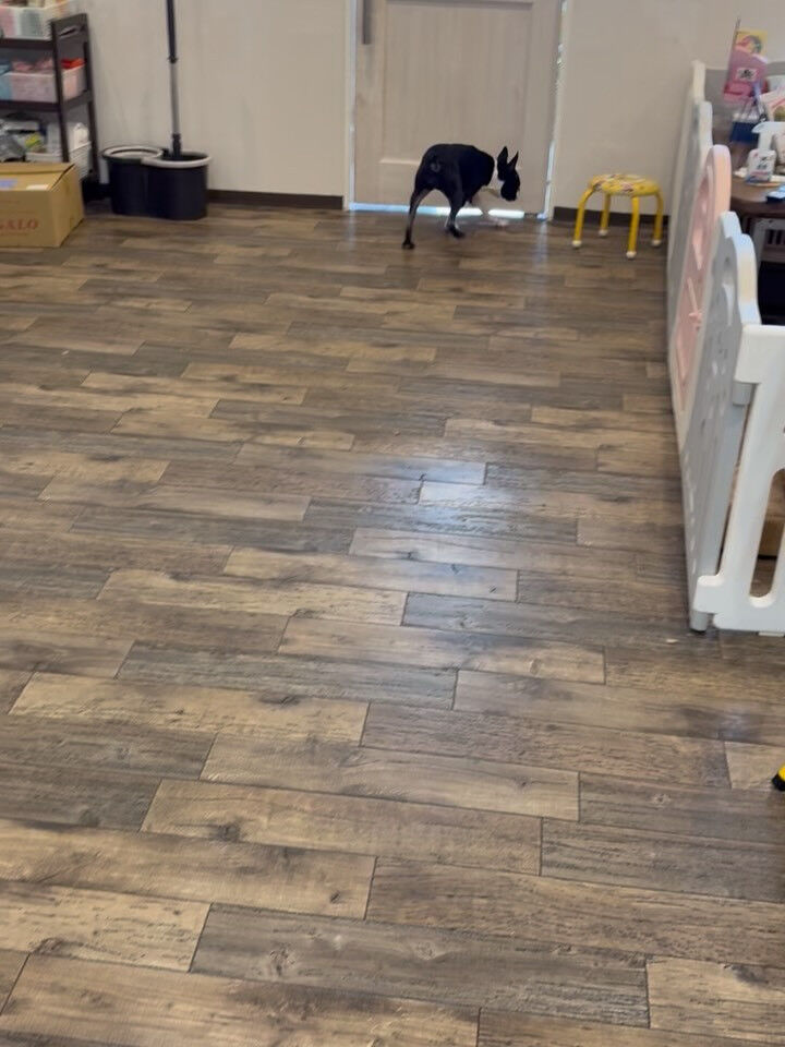最近もっぱら汗かいてます💦