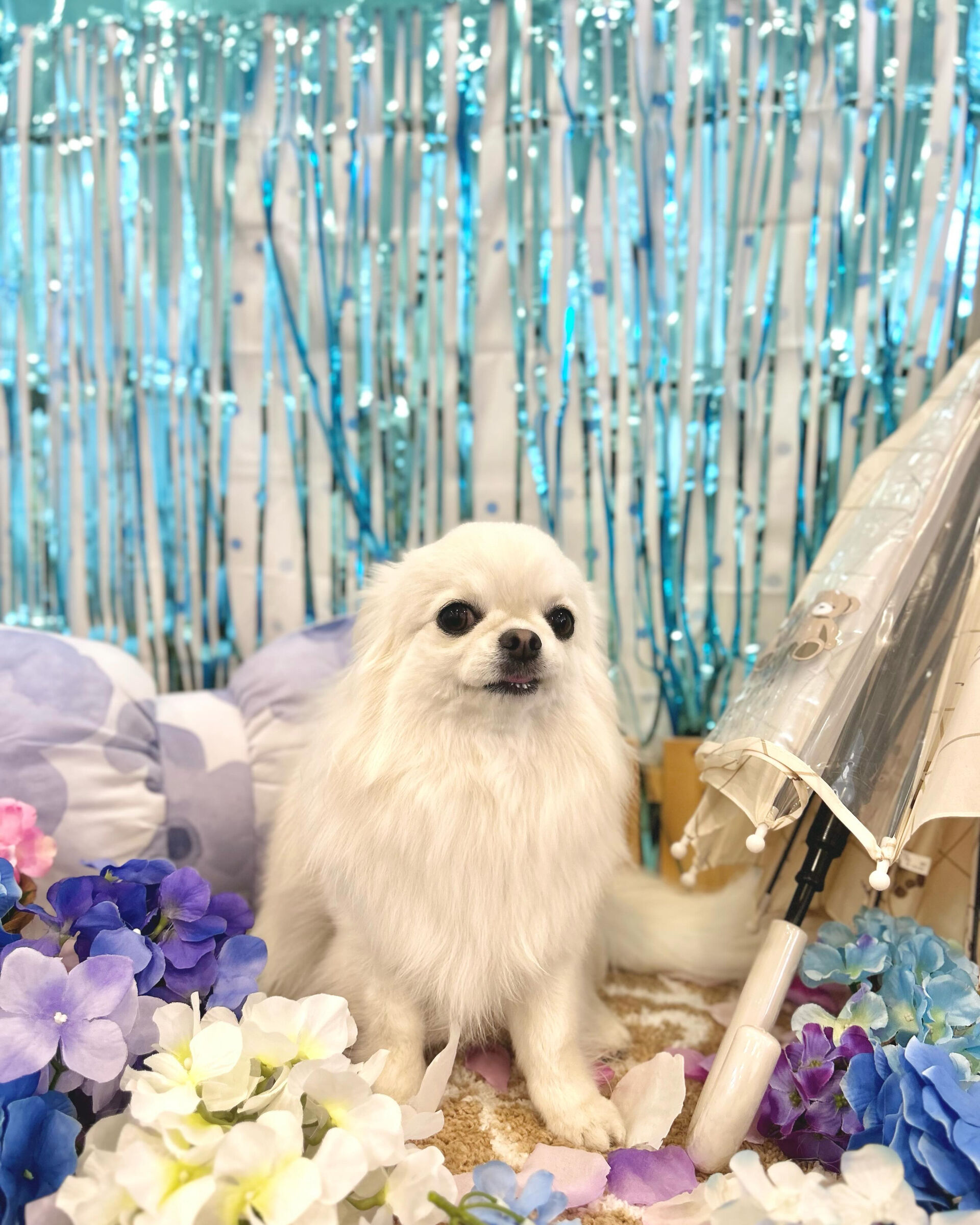 いつもありがとうございます⸜🌷︎⸝‍
