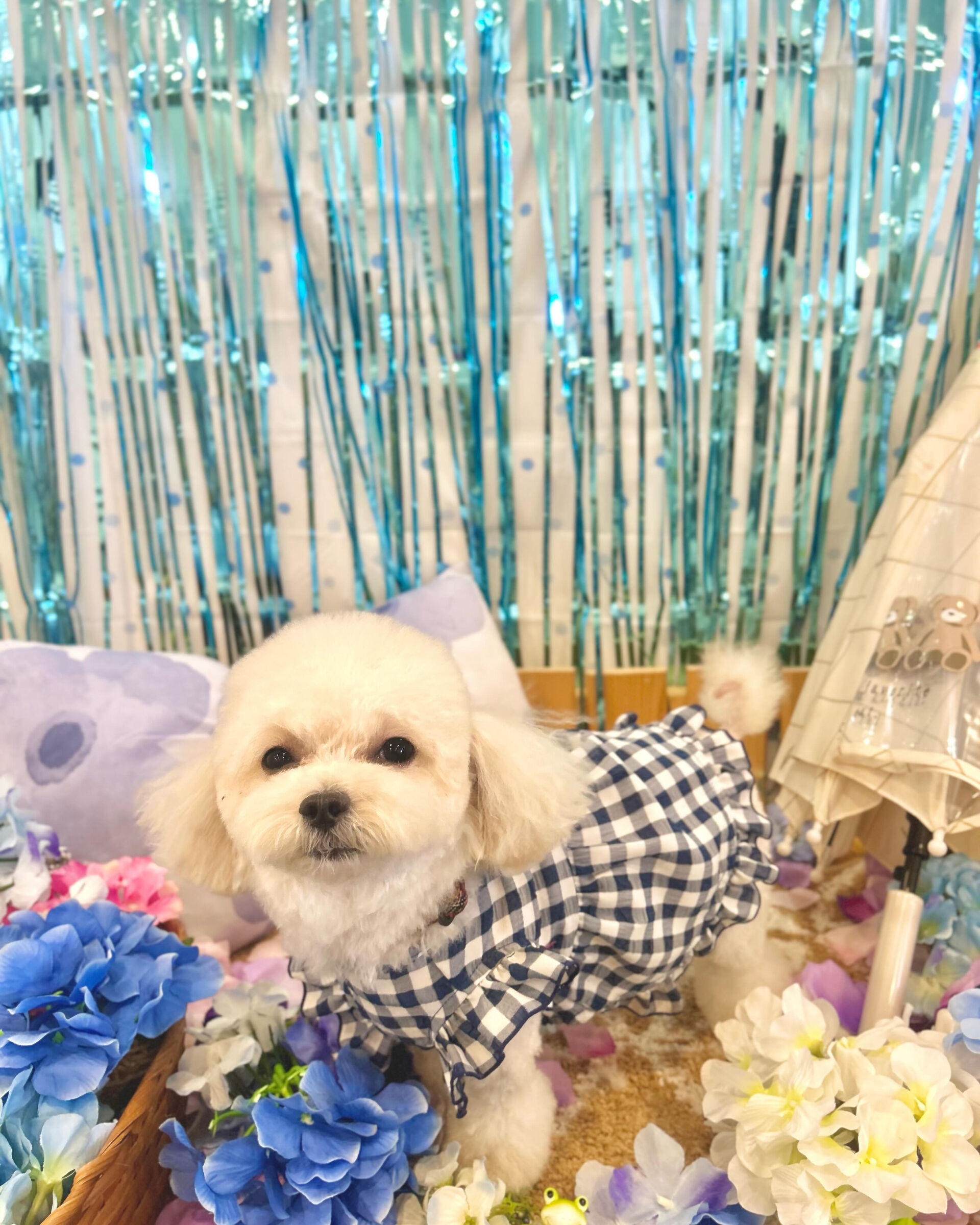 いつもありがとうございます⸜🌷︎⸝‍