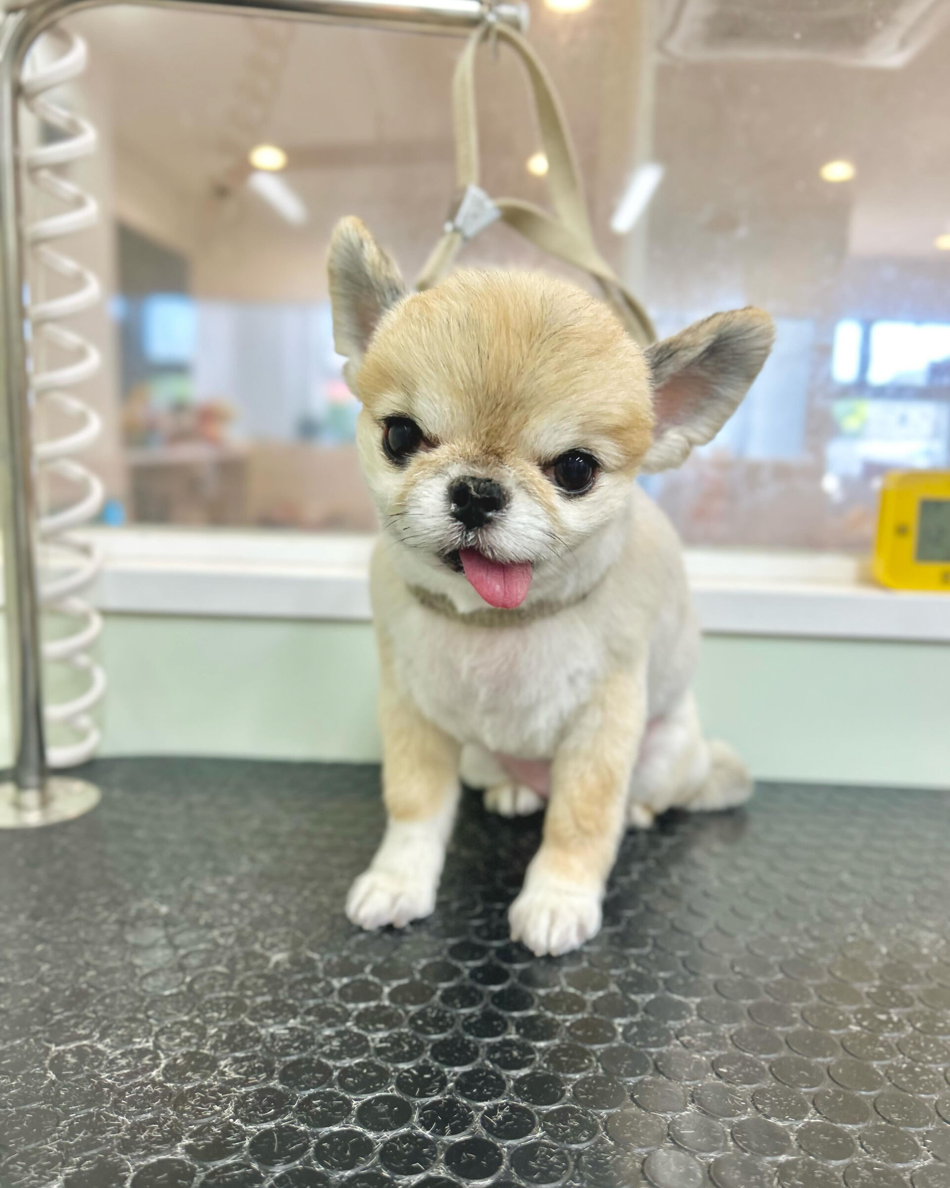 いつもありがとうございます⸜🌷︎⸝‍