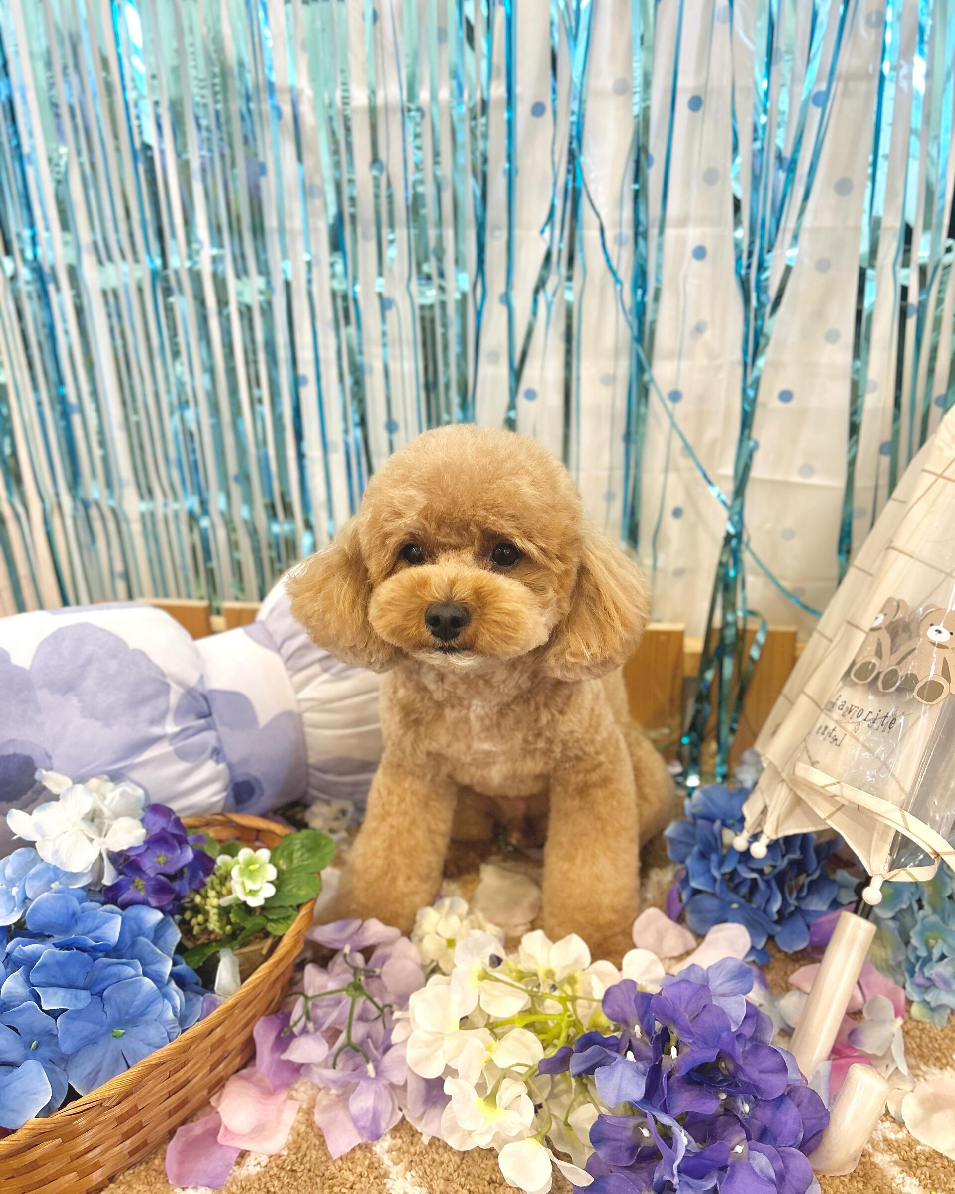 いつもありがとうございます⸜🌷︎⸝‍