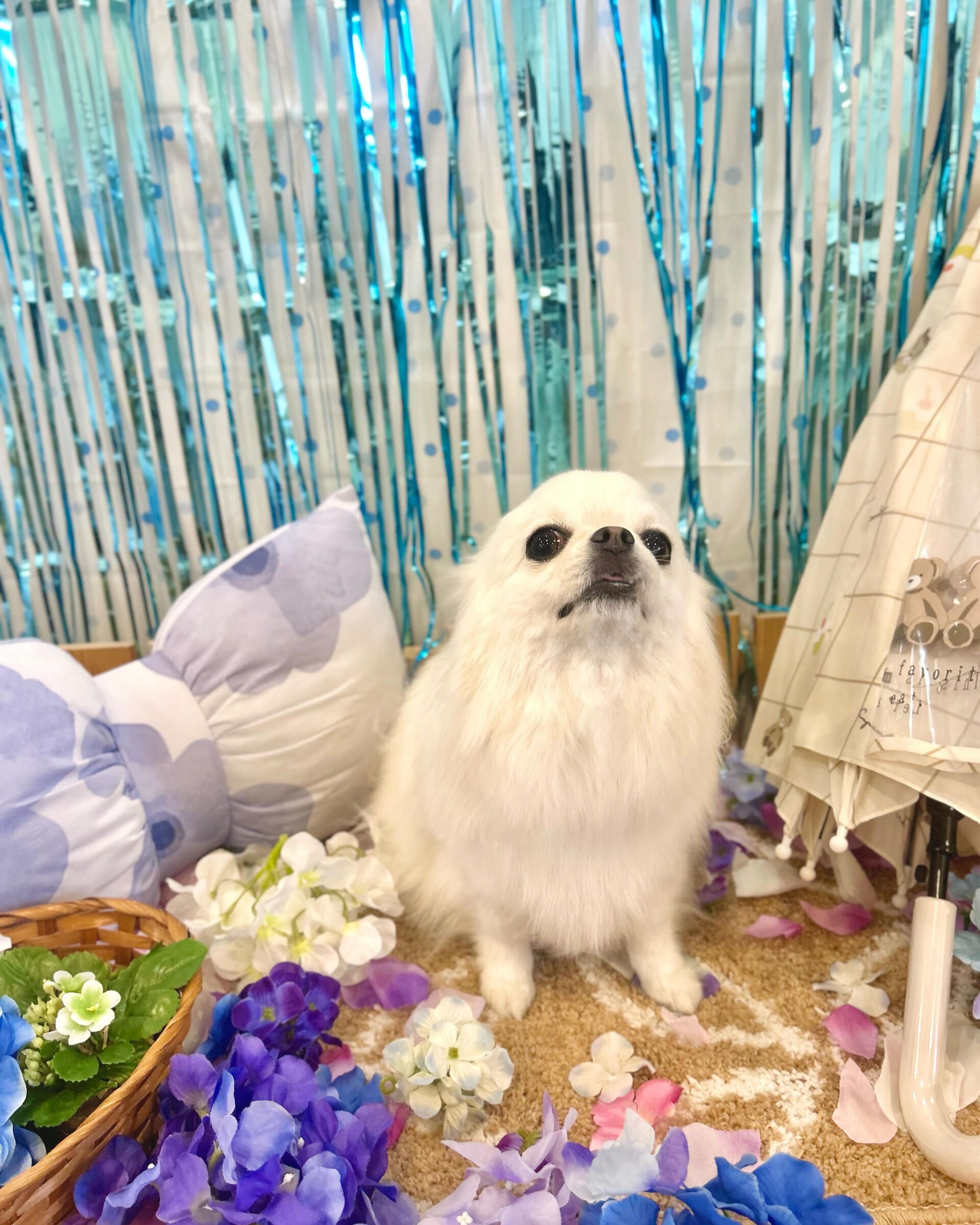 いつもありがとうございます⸜🌷︎⸝‍