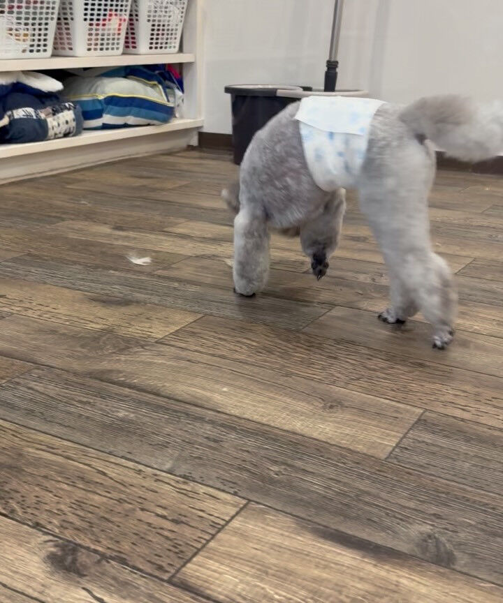 暑くなりましたね🫠