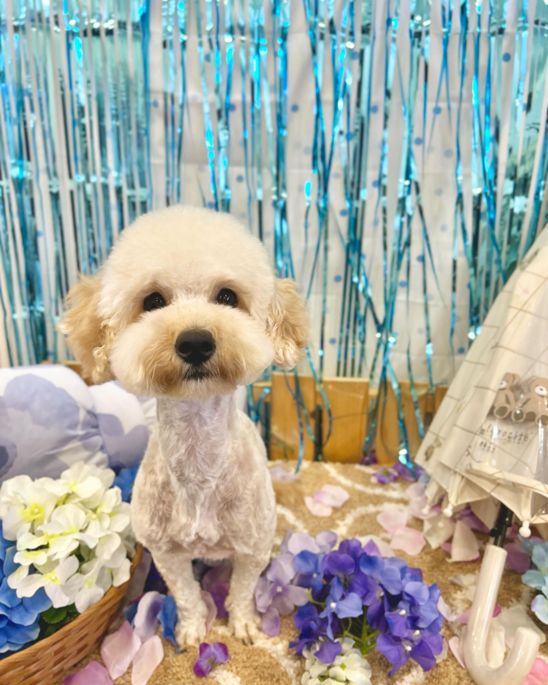 いつもありがとうございます⸜🌷︎⸝‍