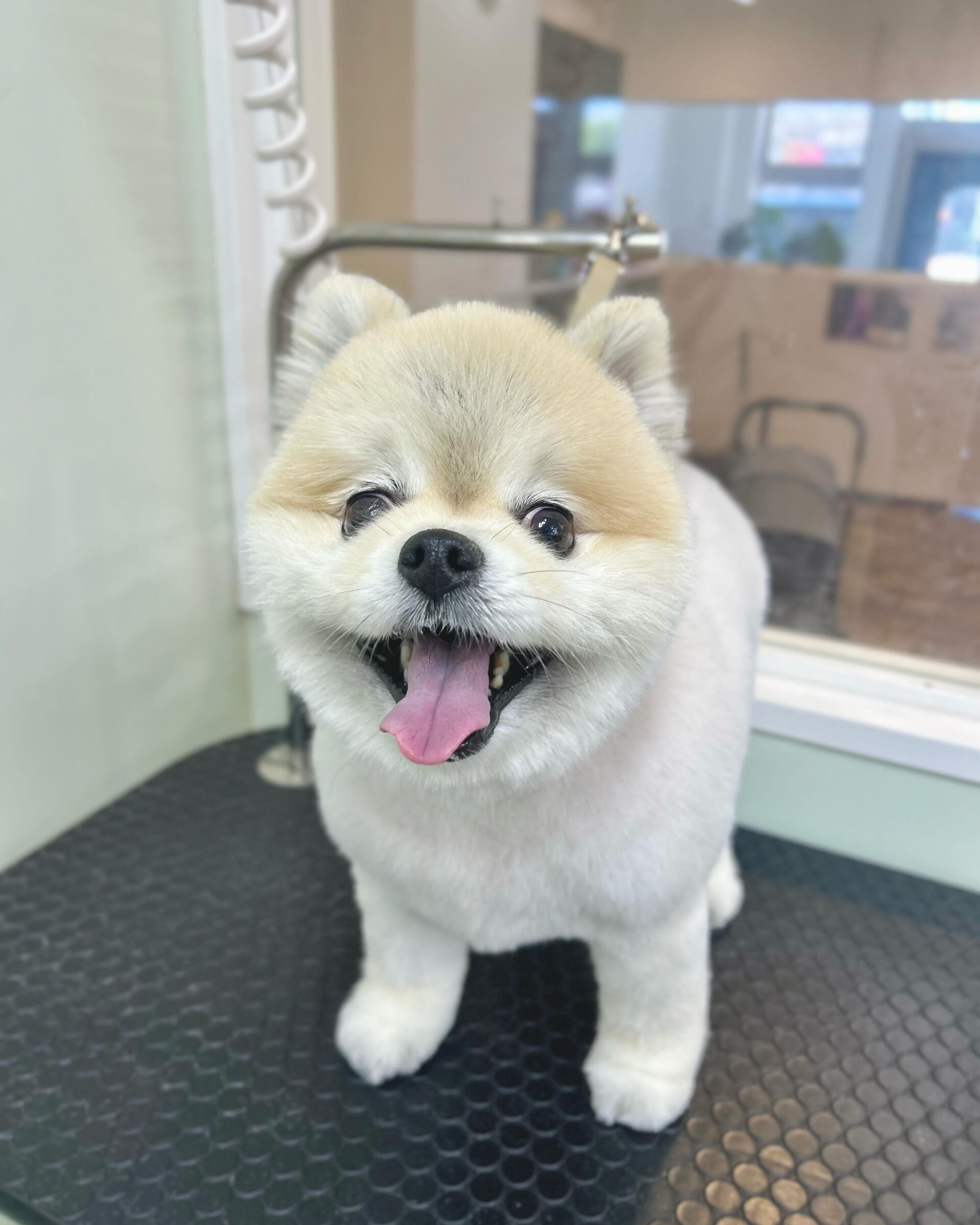 いつもありがとうございます⸜🌷︎⸝‍