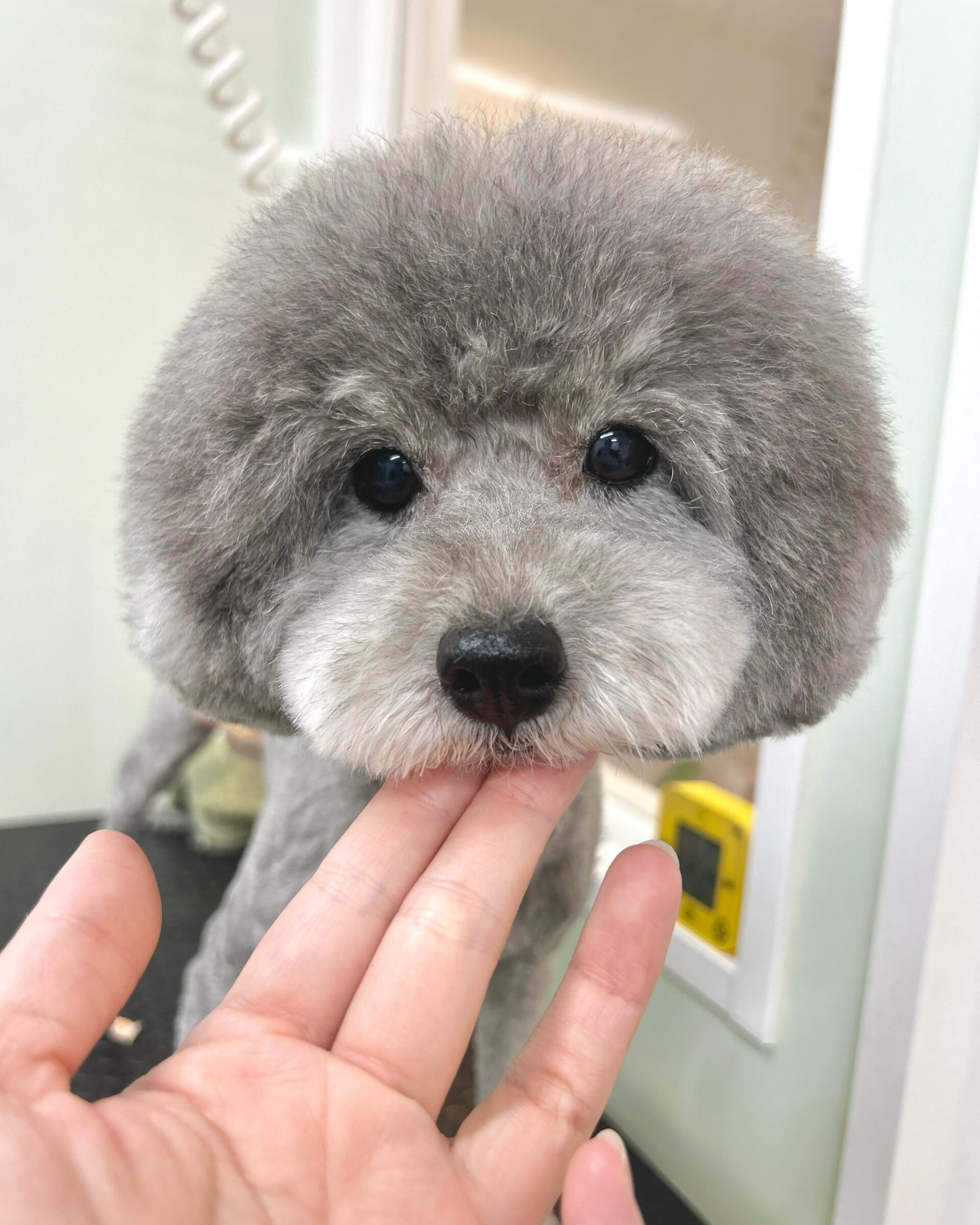 いつもありがとうございます⸜🌷︎⸝‍