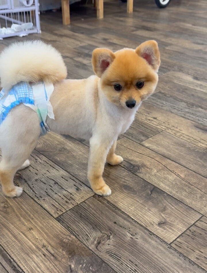 台風が近づいてるみたいです🌀