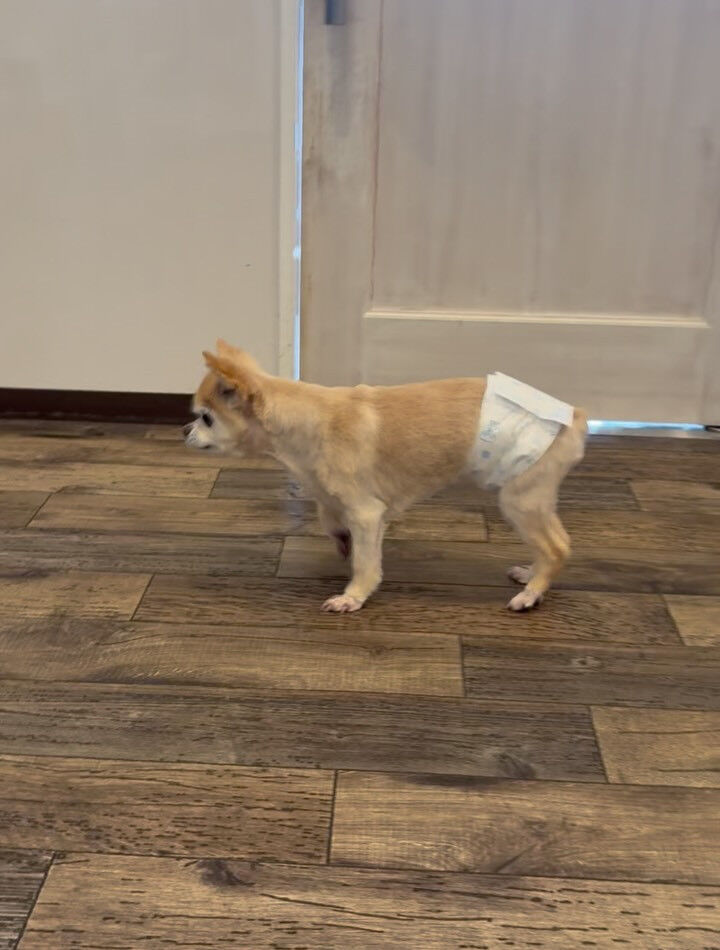 ☔️洗濯物が乾かない😭