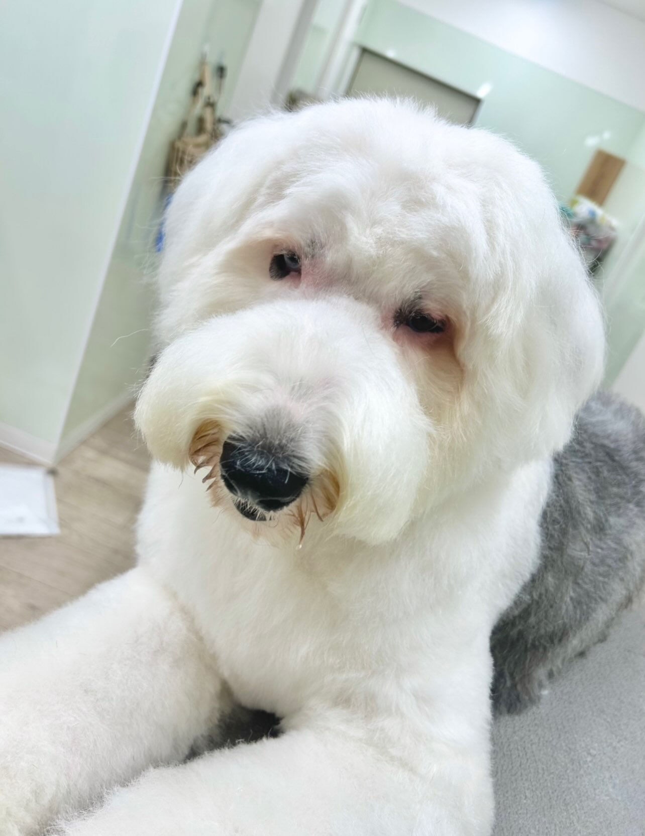いつもありがとうございます⸜🌷︎⸝‍
