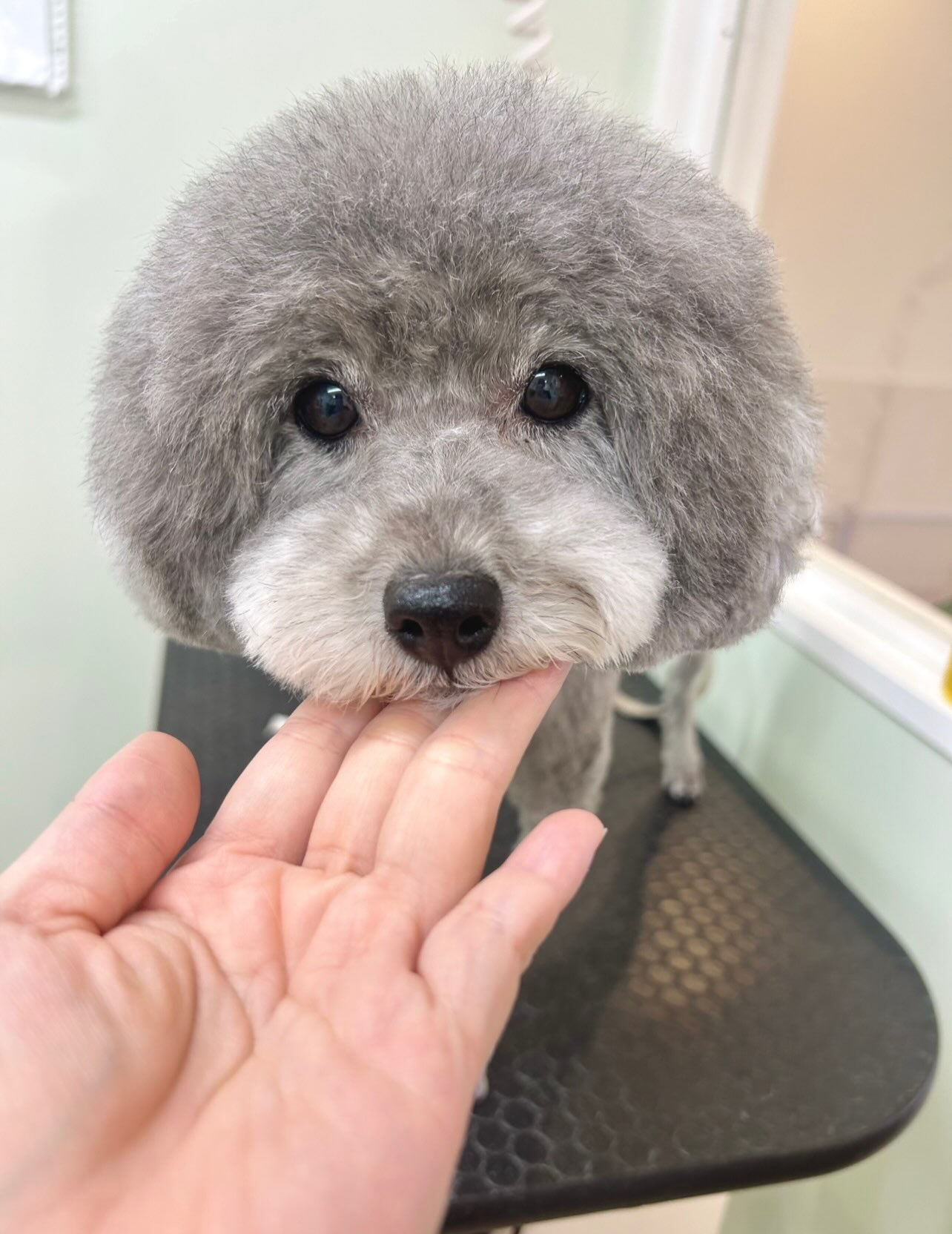 いつもありがとうございます⸜🌷︎⸝‍