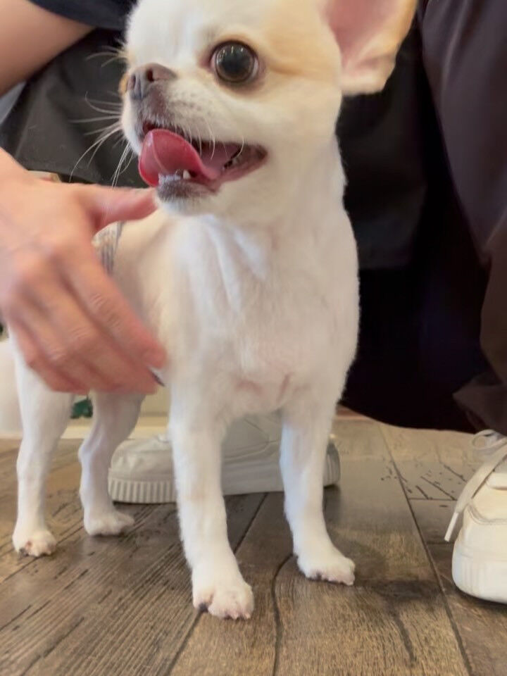 おはようございます☀