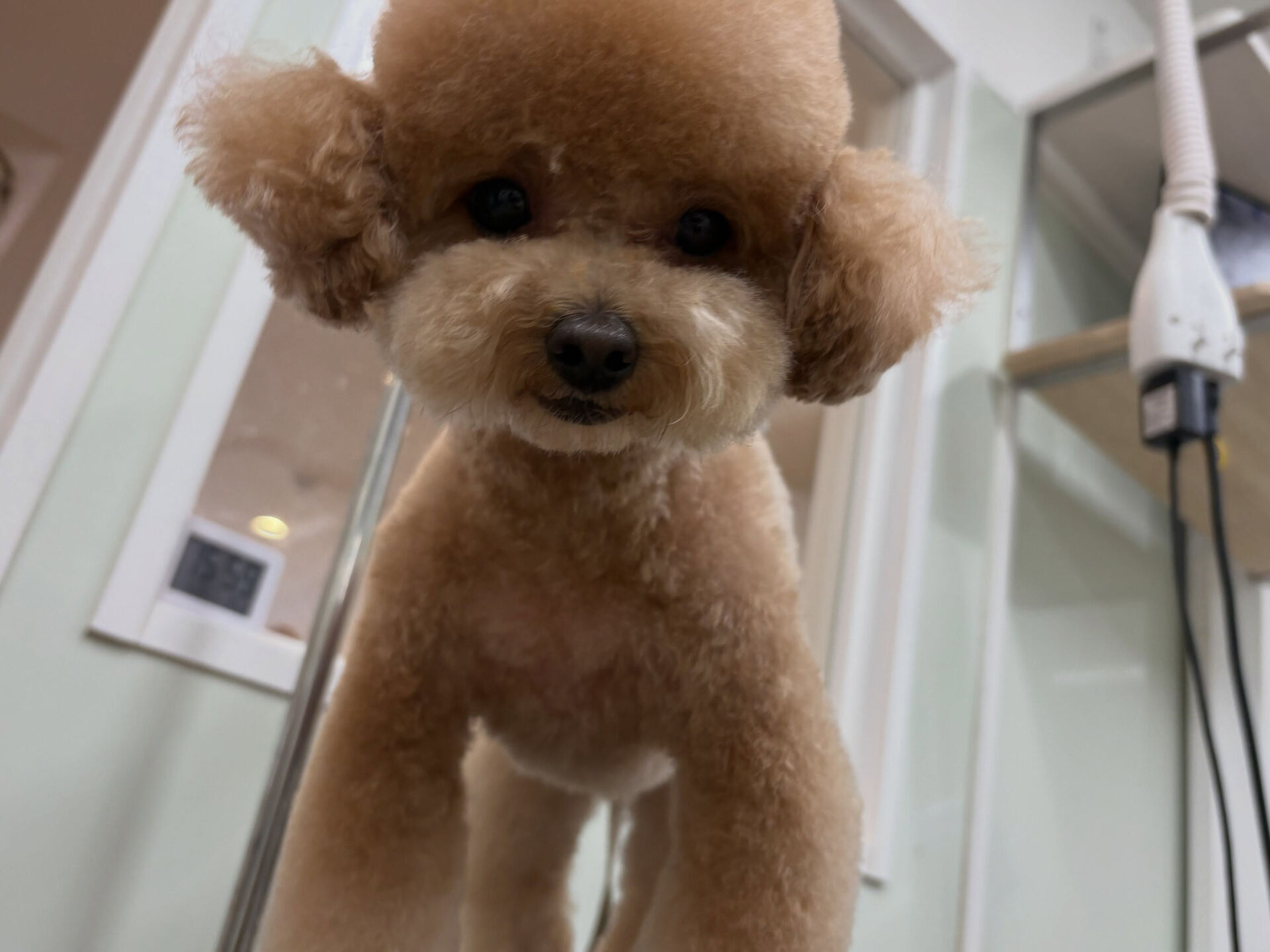残暑お見舞い申し上げます🙇‍♀️