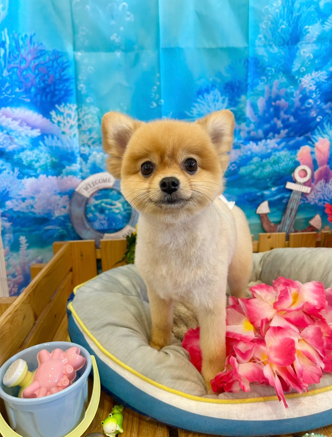 いつもありがとうございます⸜🌷︎⸝‍