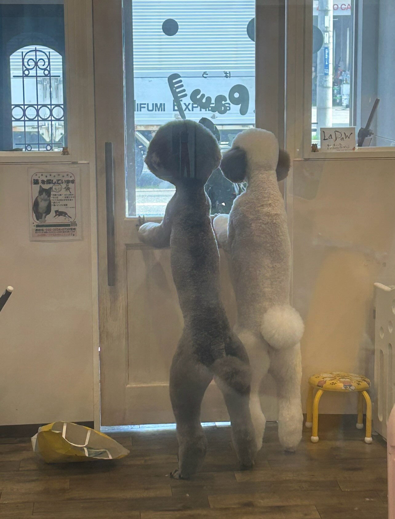 いつもありがとうございます⸜🌷︎⸝‍