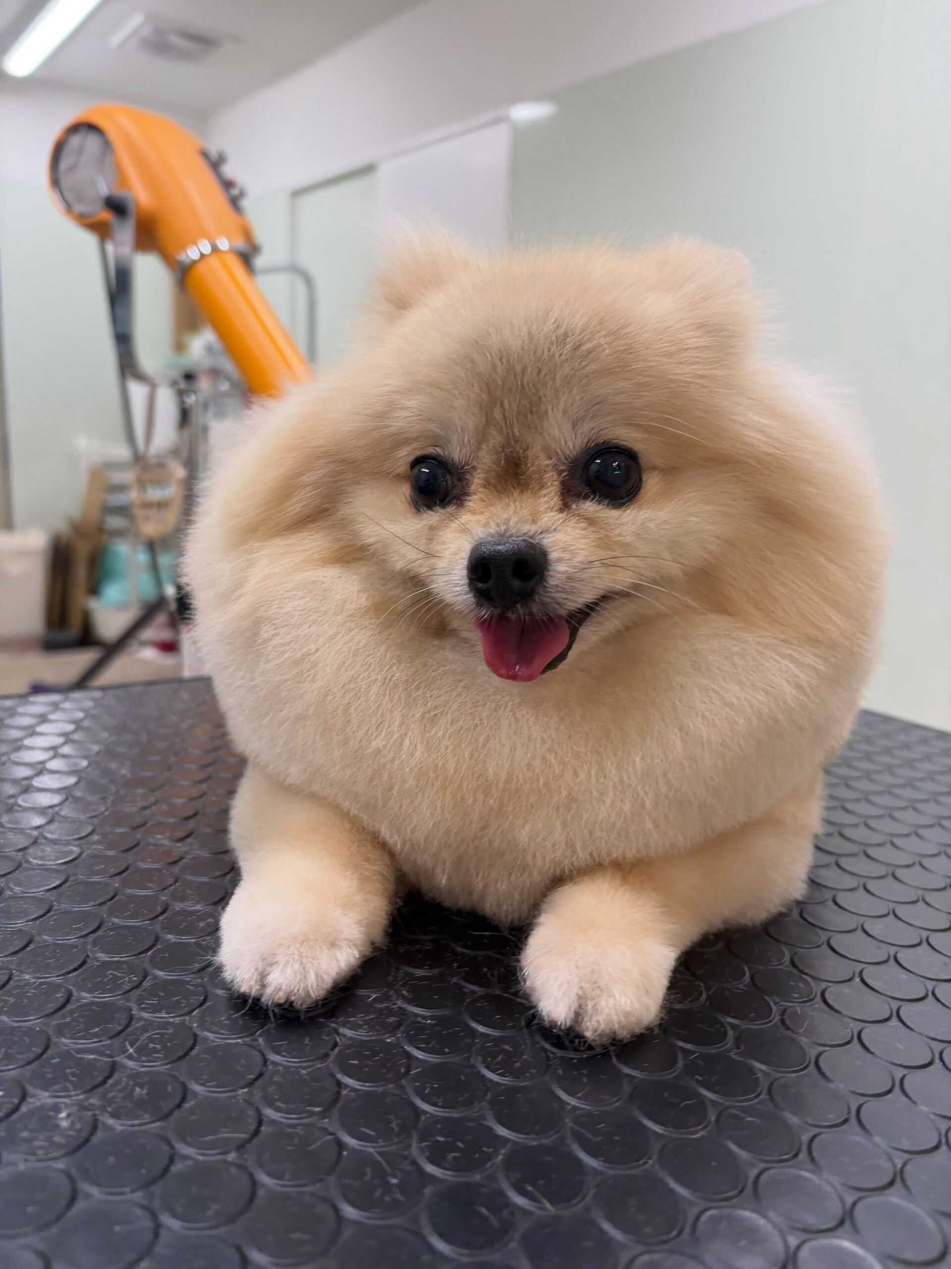 本日敬老の日であります☺️