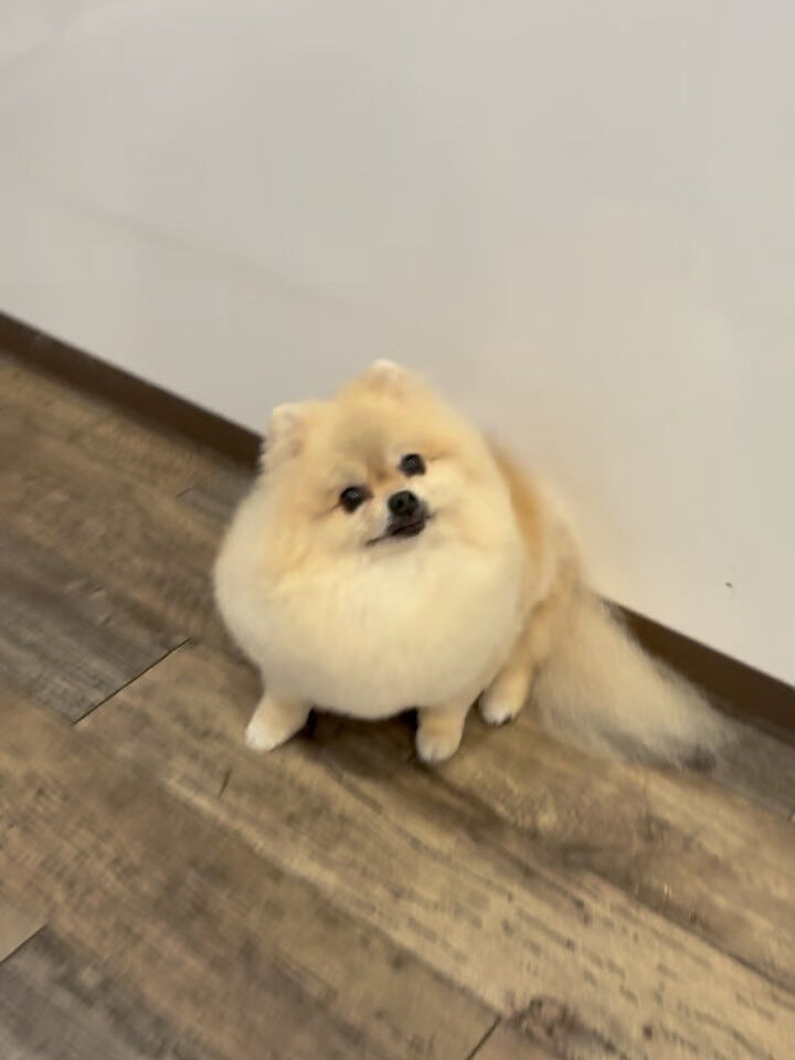 本日敬老の日であります☺️