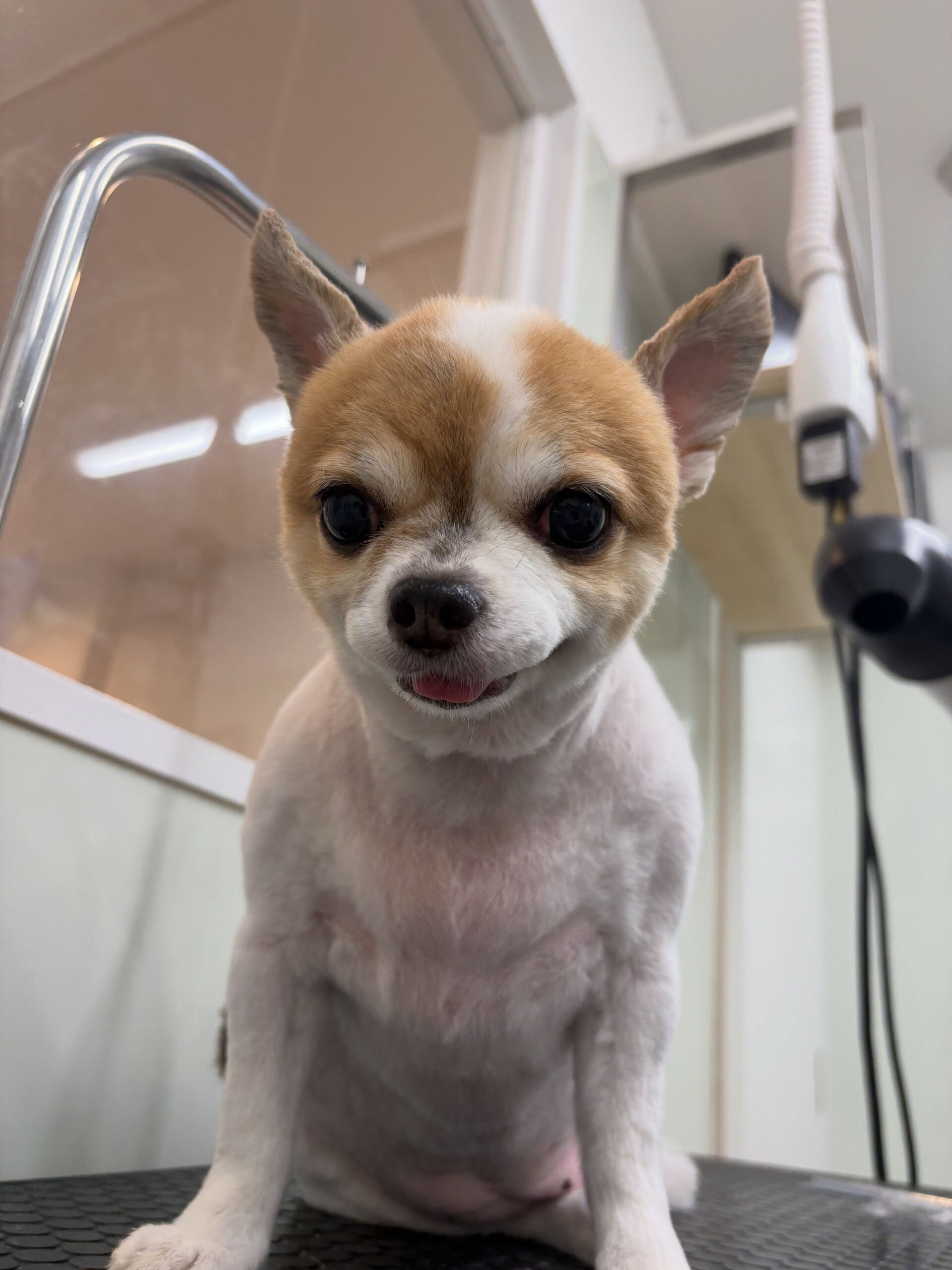本日敬老の日であります☺️