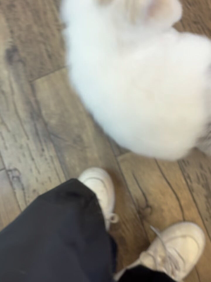 シルバーウィーク真っ最中ですね☺️