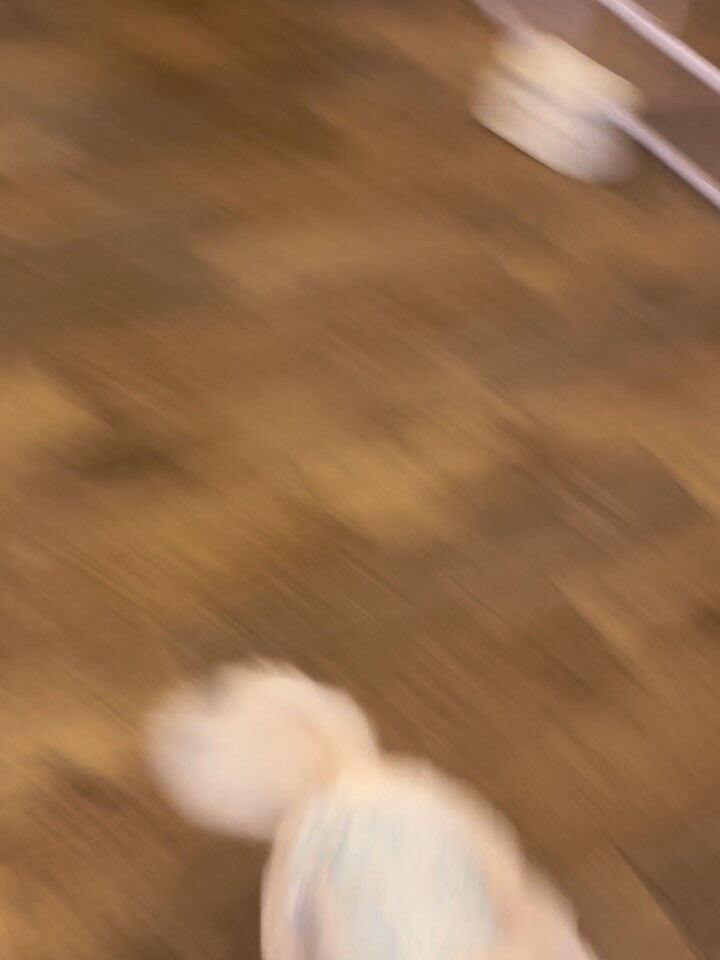 雨です☂️