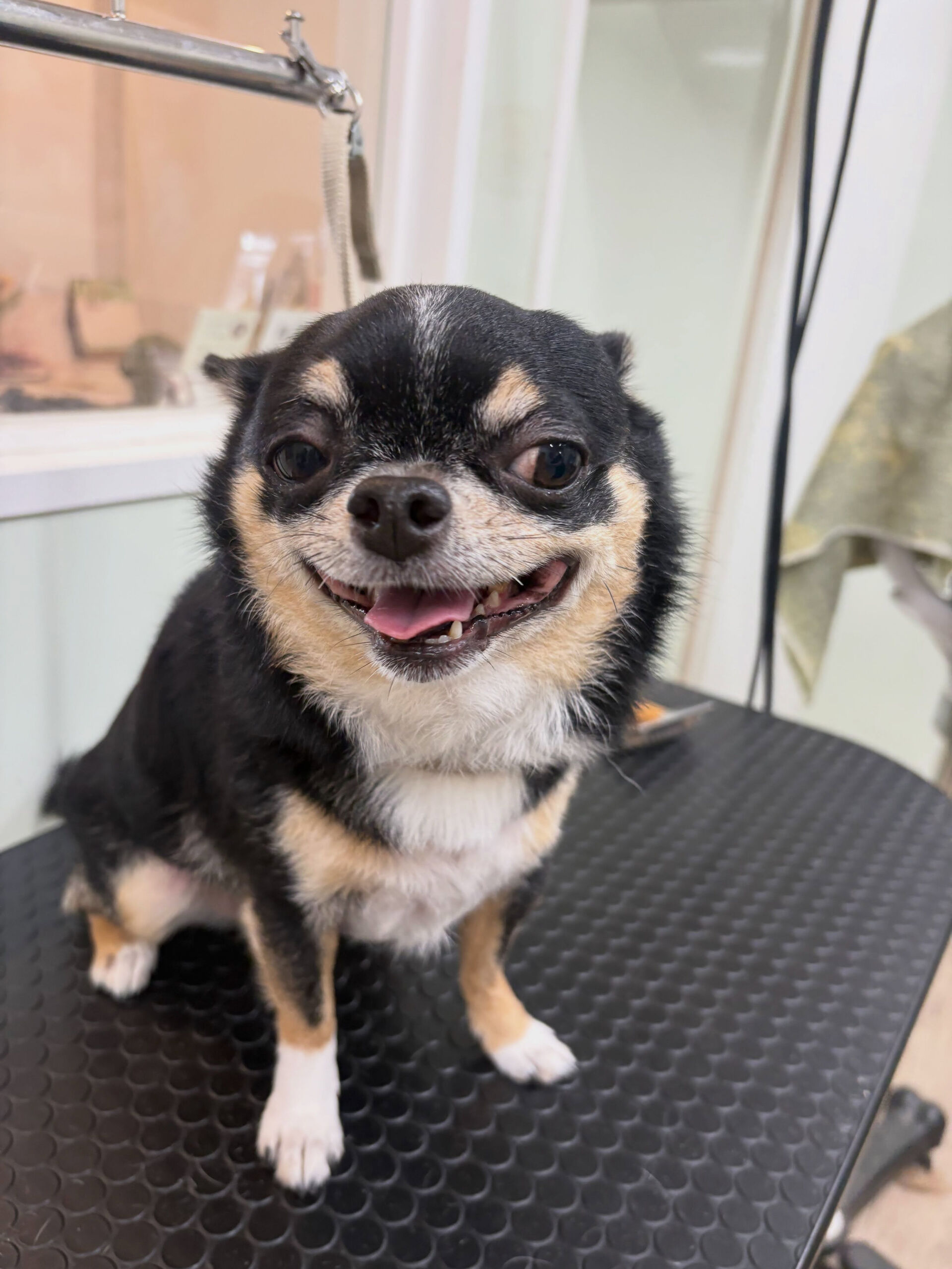 梅雨かなーって思うくらい