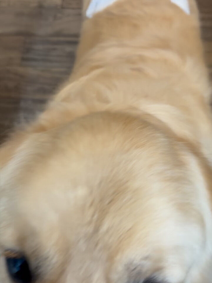 10月になりましたー✨