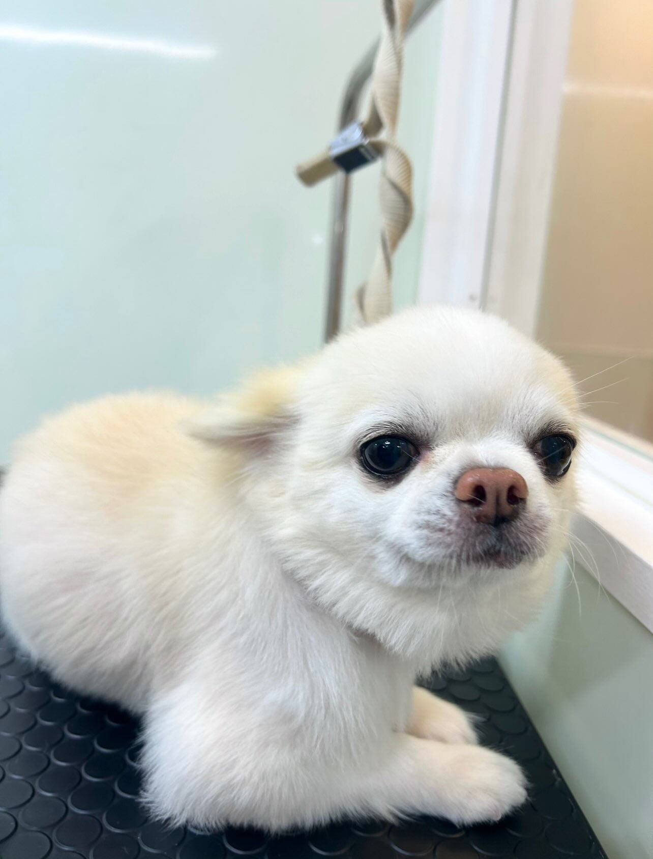 いつもありがとうございます⸜🌷︎⸝‍
