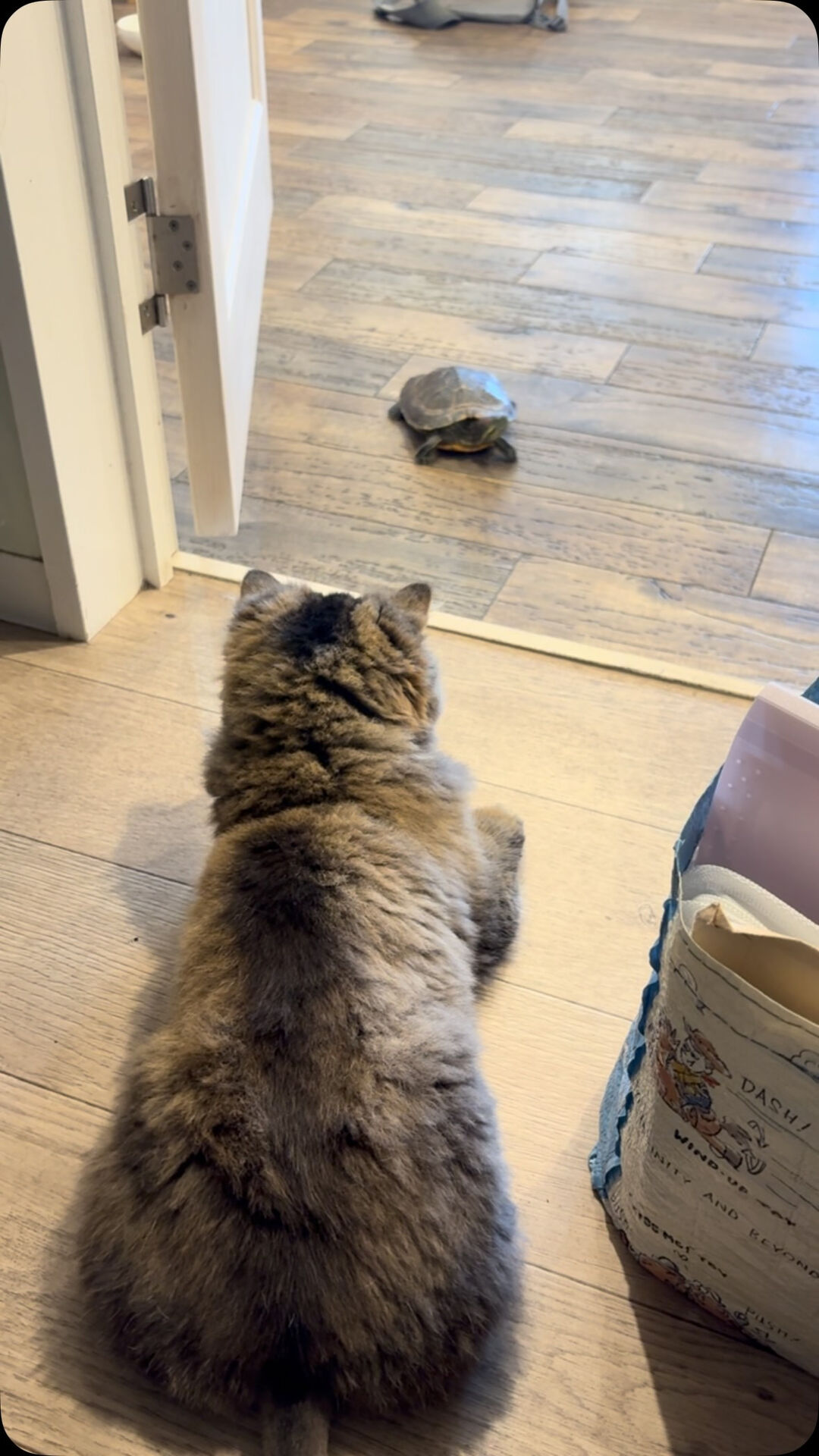 意外と仲良し☺️