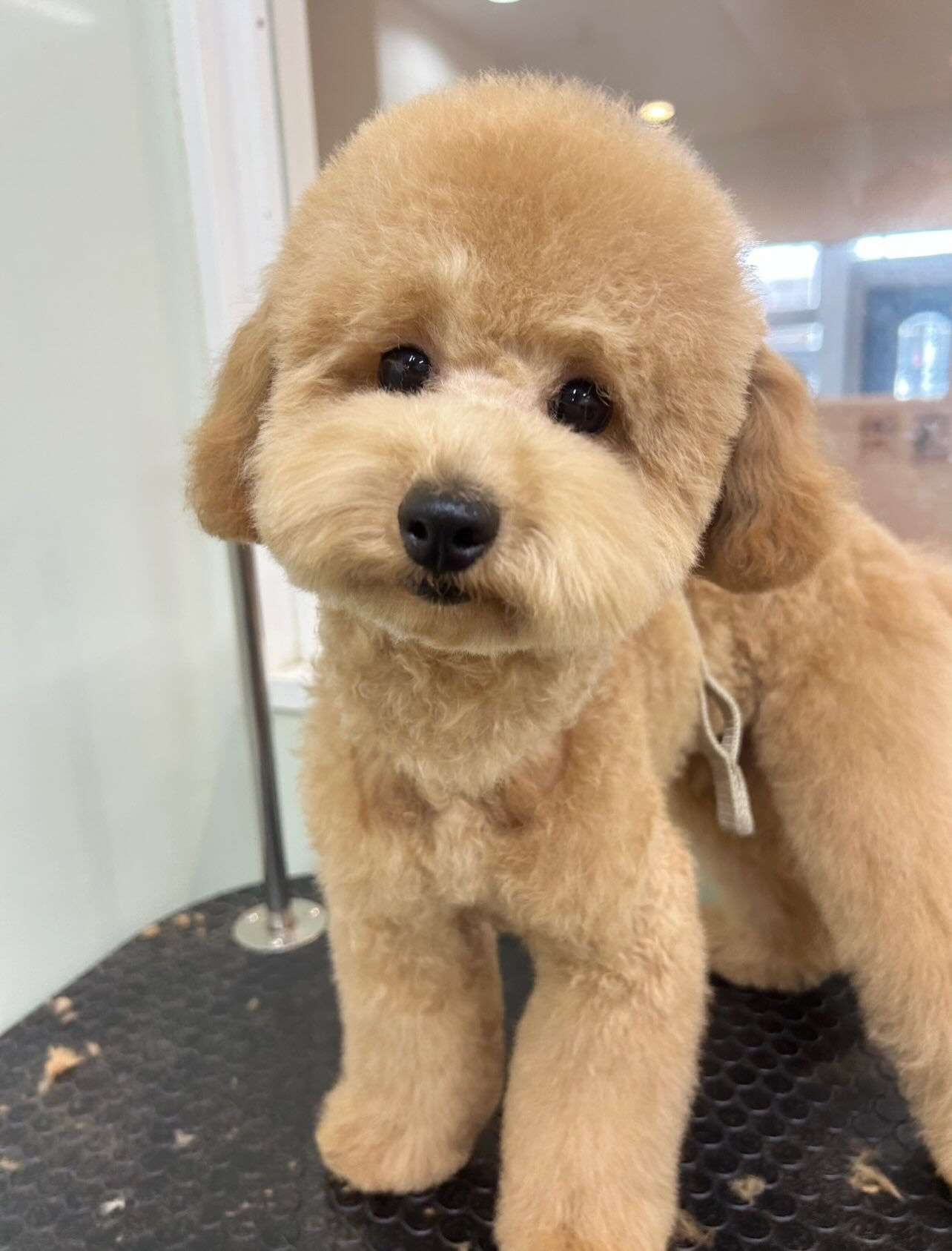 いつもありがとうございます⸜🌷︎⸝‍